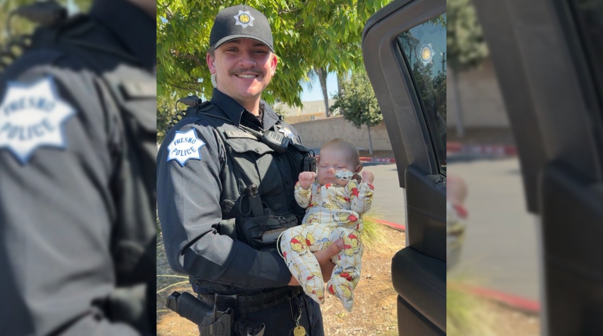 Baby Biedermann’s Fight