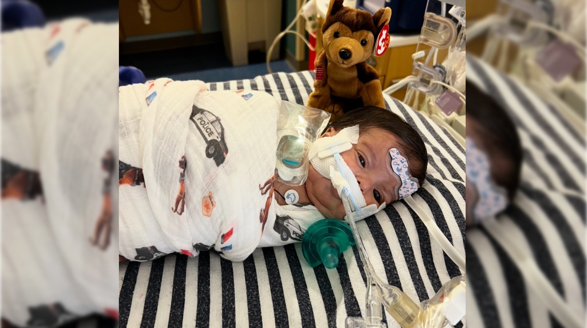 Help Baby Roman Burkes