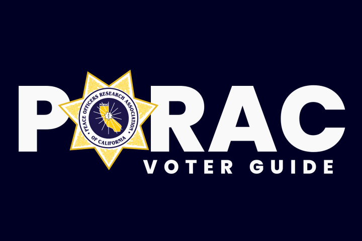2026 Voter Guide
