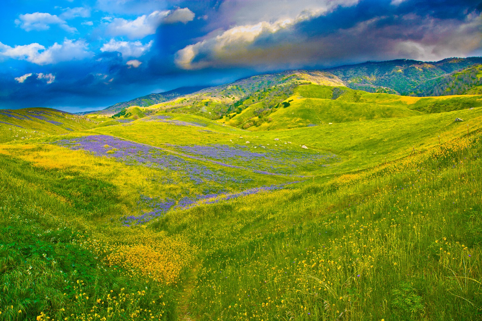 South San Joaquin