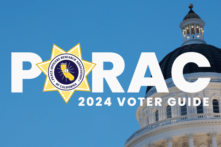 2024 Voter Guide